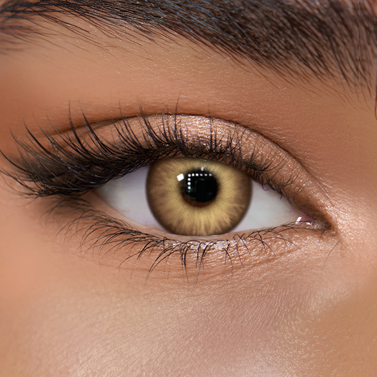 TolyTolly Briven Brown