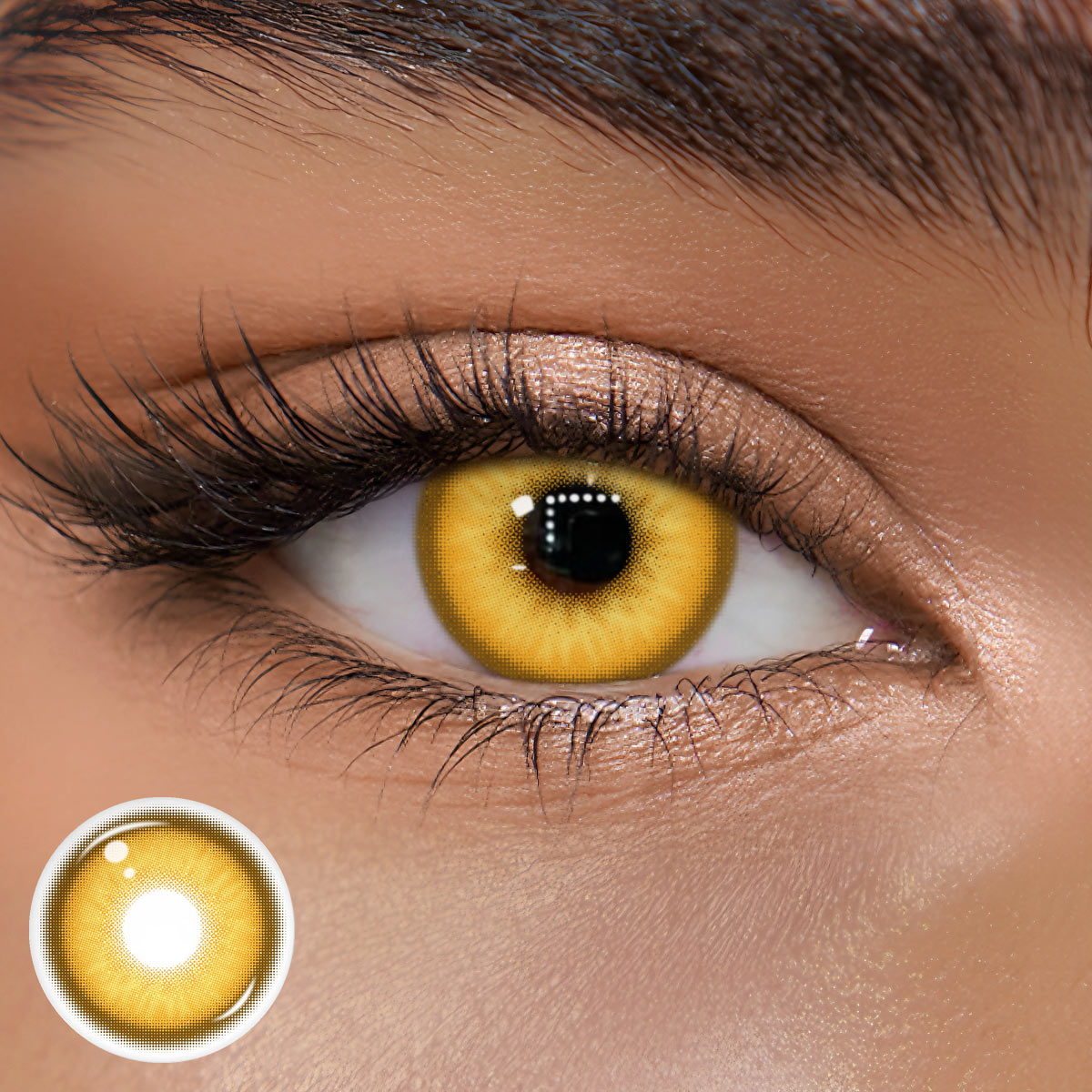 TolyTolly Specter Brown