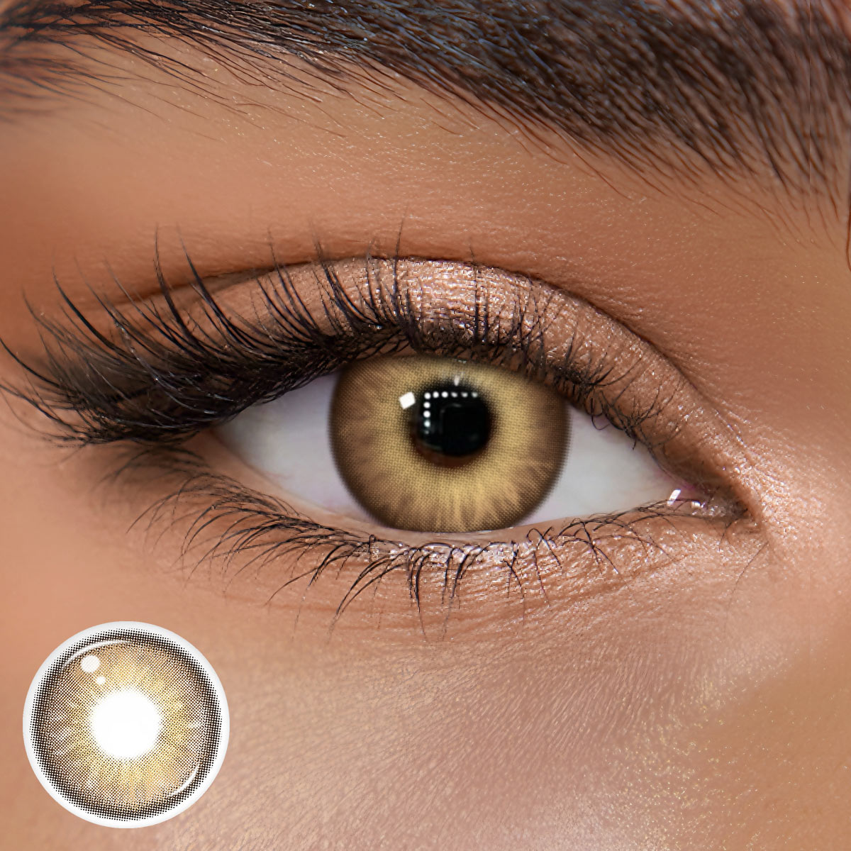 TolyTolly Briven Brown