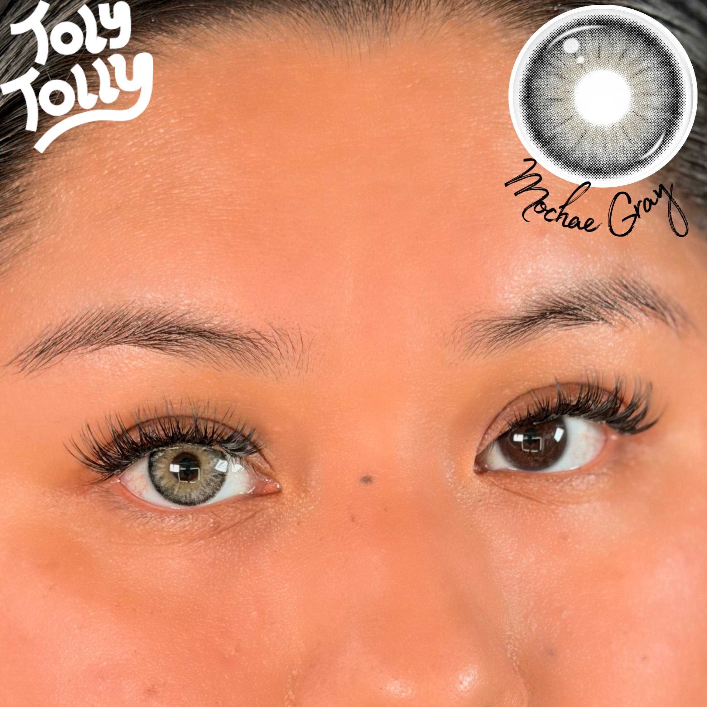 TolyTolly Mochae Gray