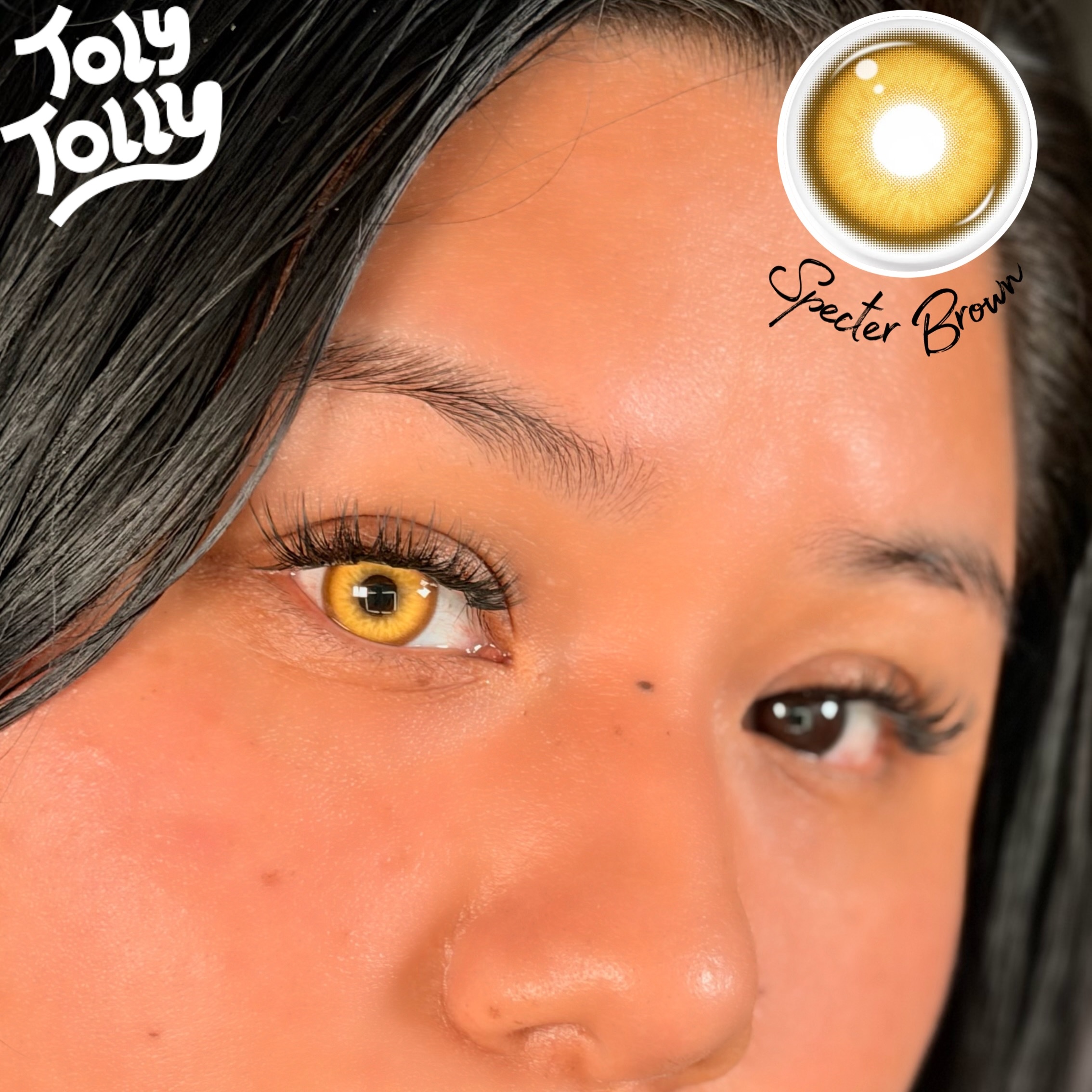 TolyTolly Specter Brown