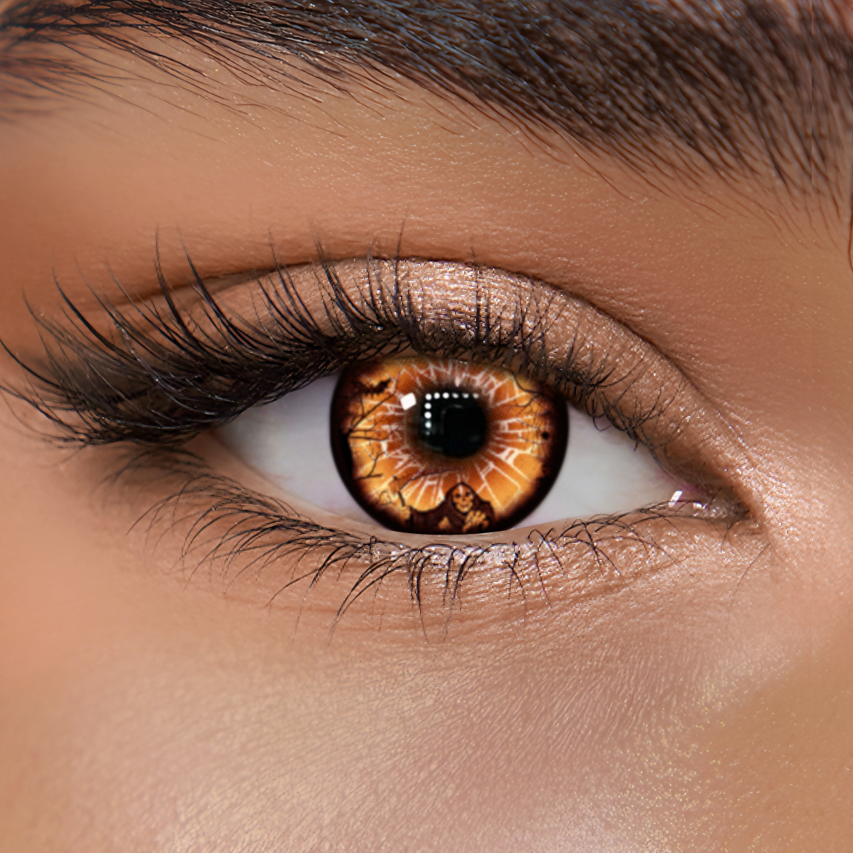 TolyTolly Nexa Brown