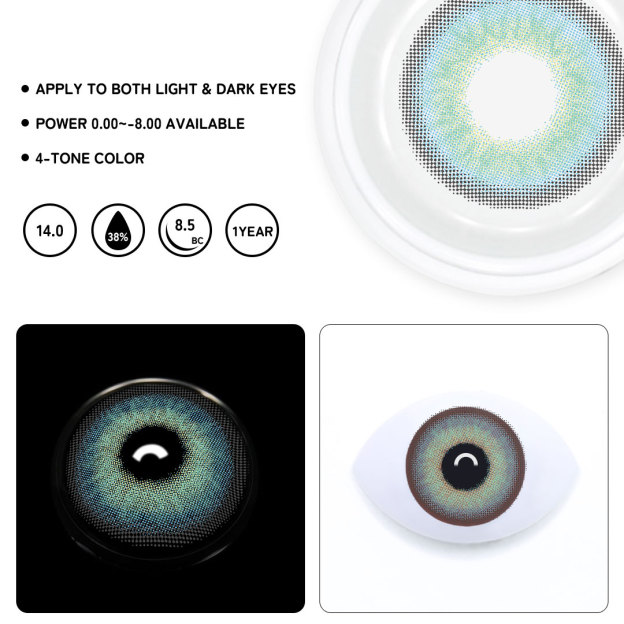 TolyTolly Vireya Blue