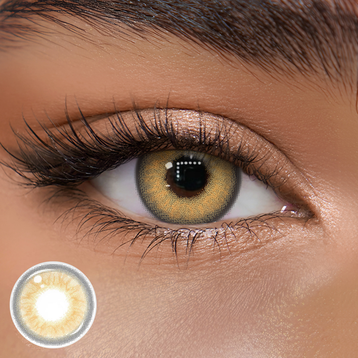 TolyTolly Vireya Brown