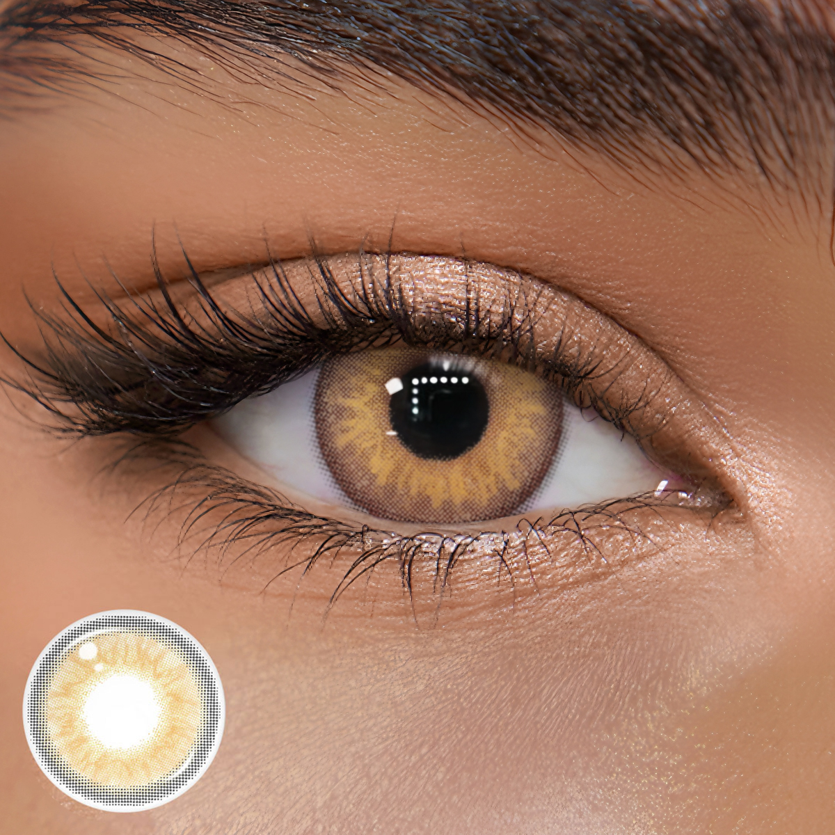 TolyTolly Vireya Brown