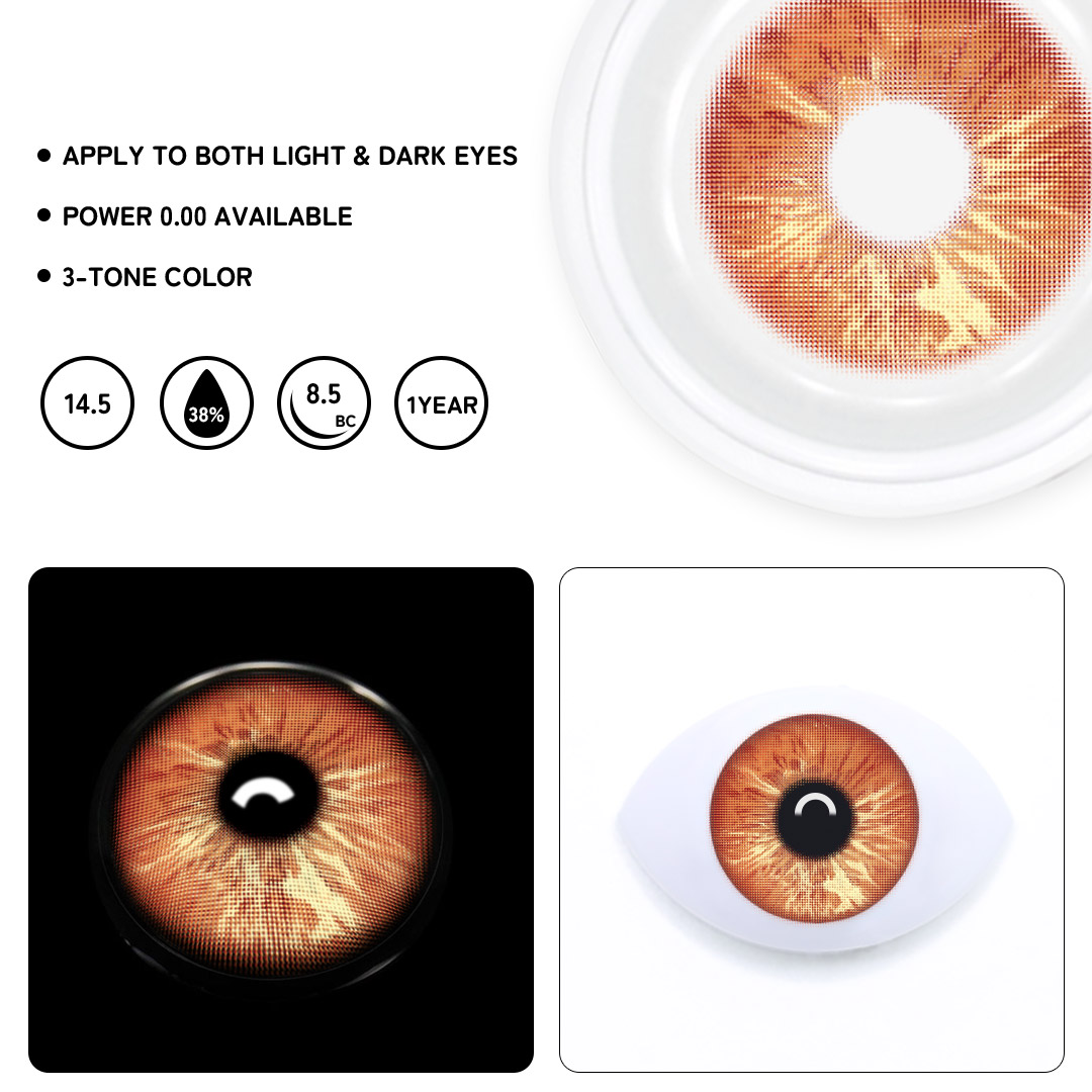 TolyTolly Livra Brown