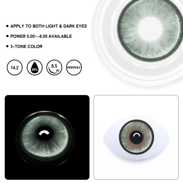 TolyTolly Midtown Green| Monthly