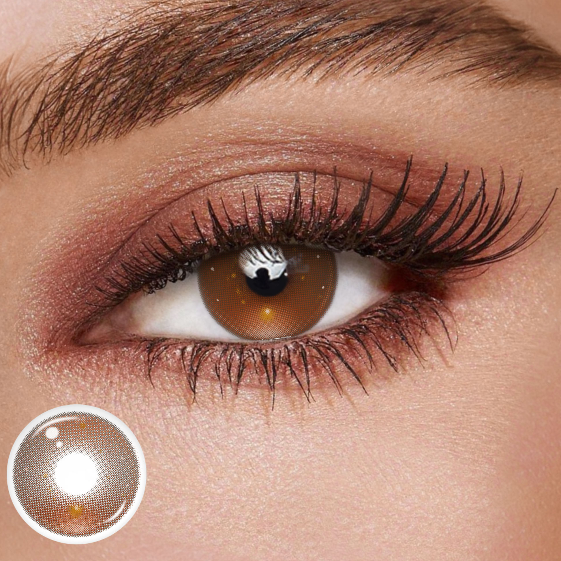 TolyTolly Neon Pulse Brown