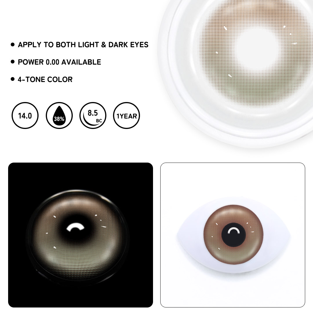 TolyTolly Nocta Brown