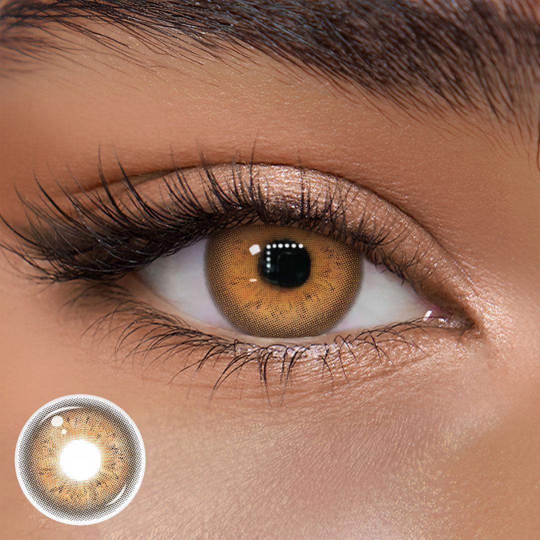 TolyTolly Polary Brown