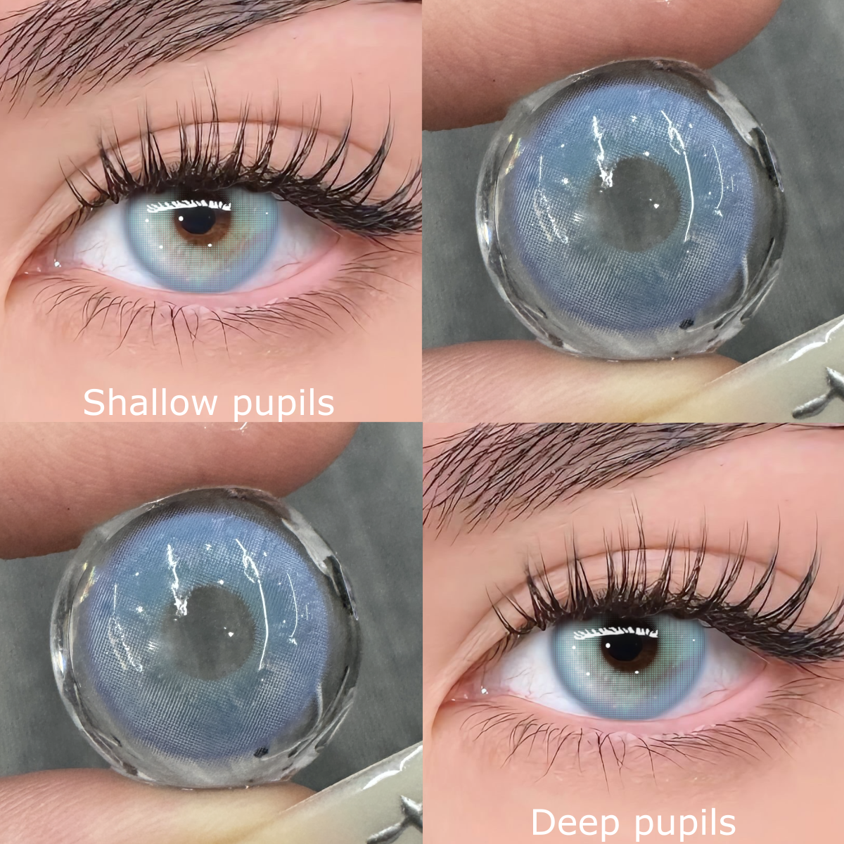 TolyTolly Sylph Blue