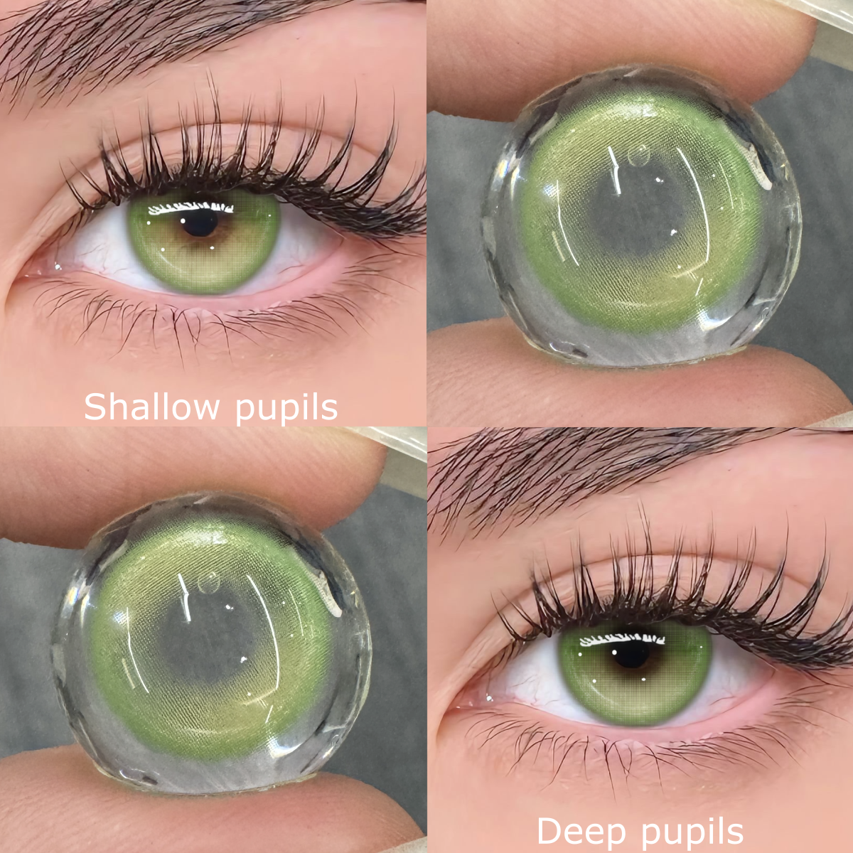 TolyTolly Emerald Brown