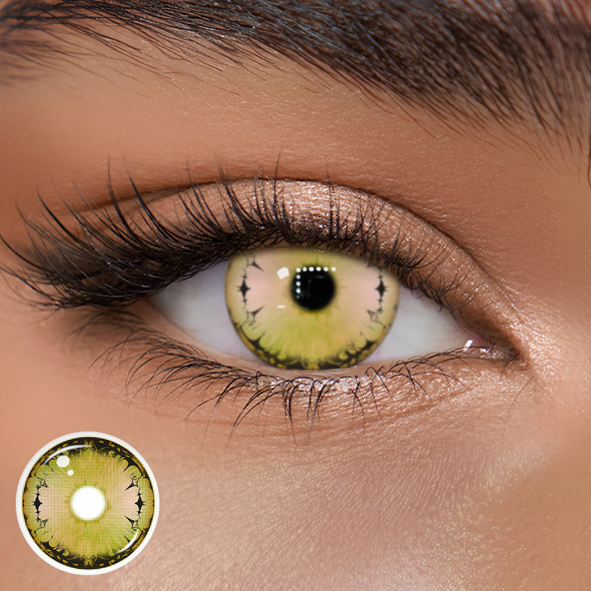 TolyTolly Jexia Brown