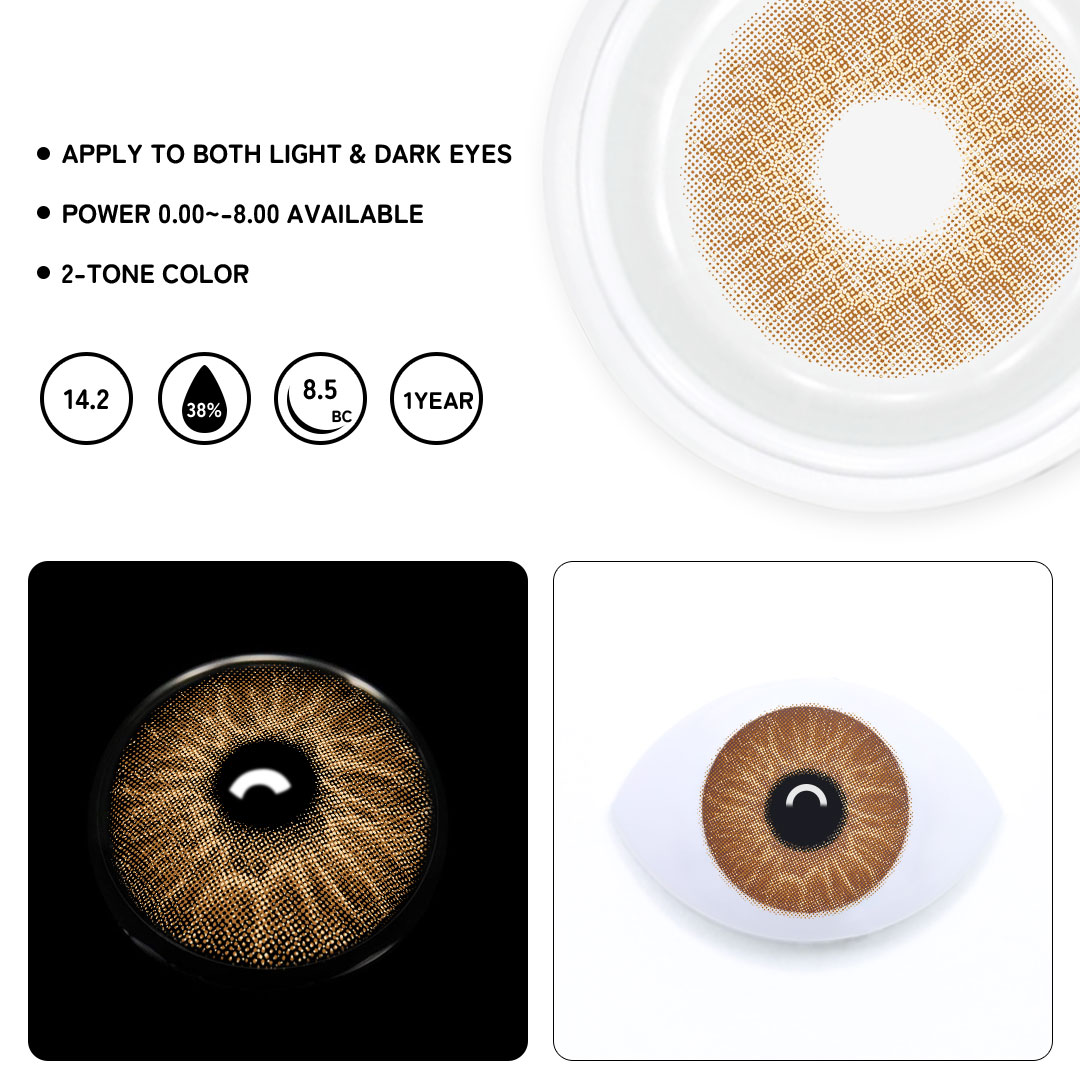 TolyTolly Regal Brown