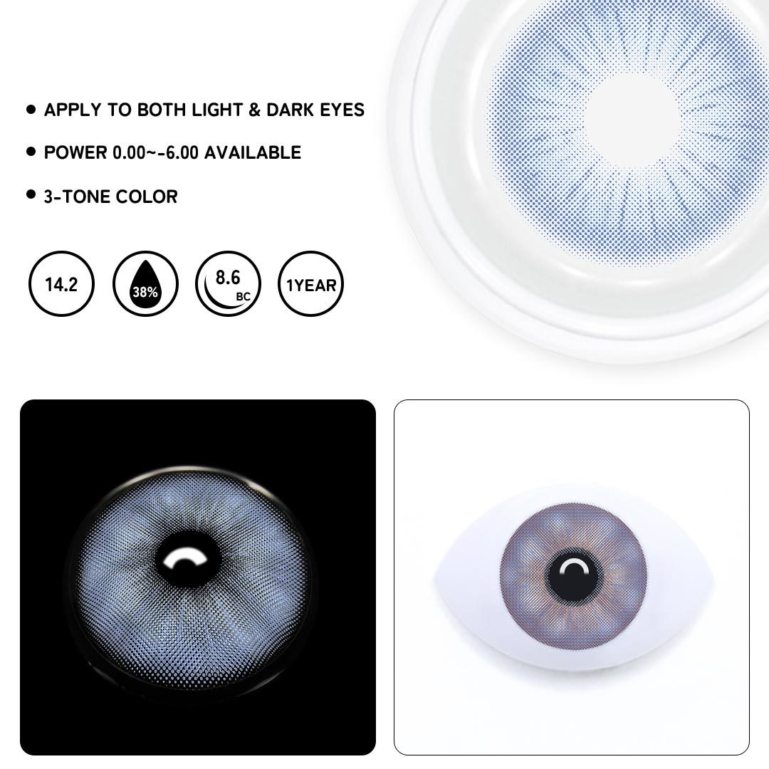 TolyTolly Rome Times Blue