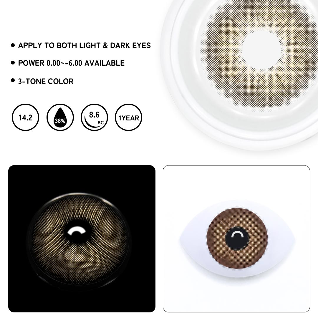 TolyTolly Rome Times Brown