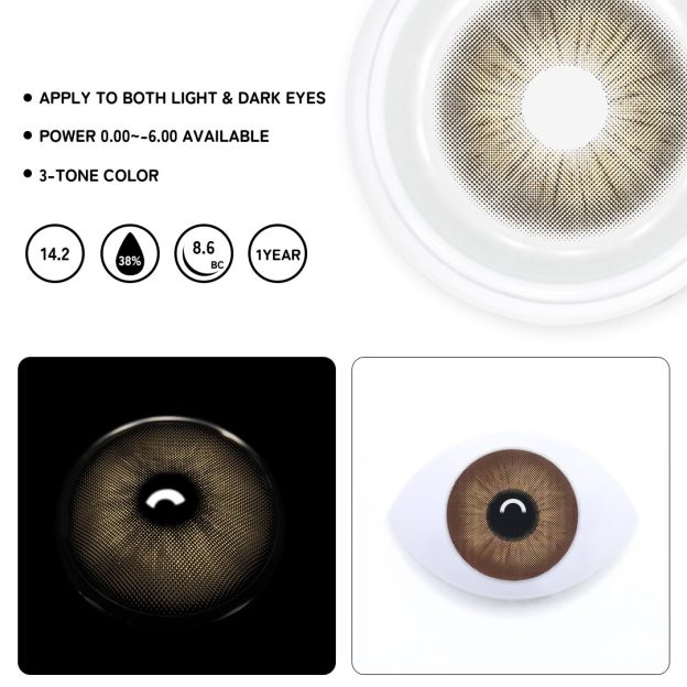 TolyTolly Rome Times Brown