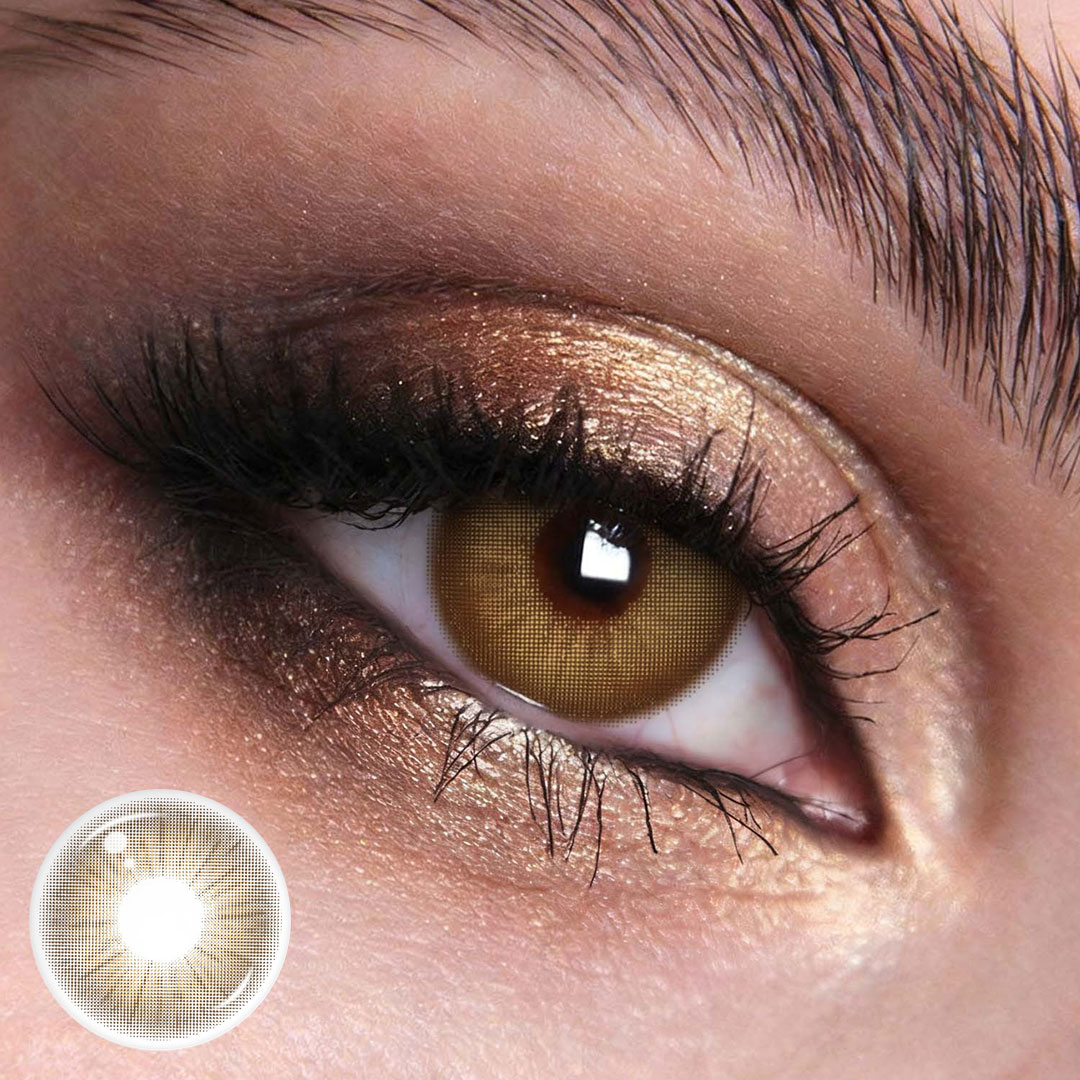 TolyTolly Rome Times Brown