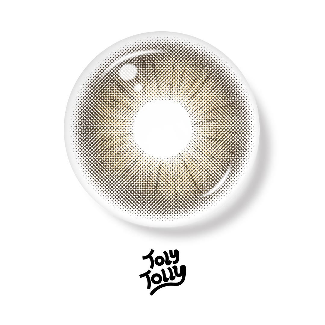 TolyTolly Rome Times Brown