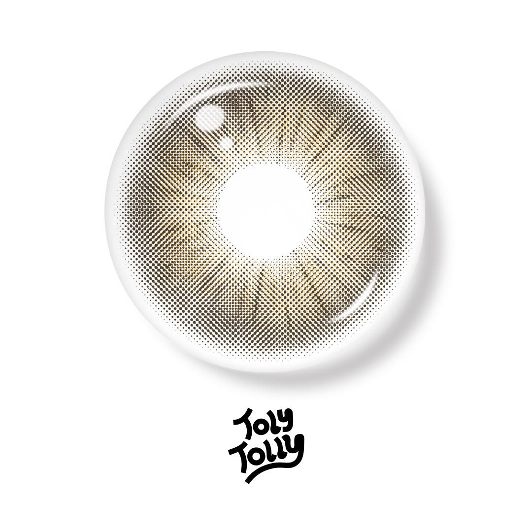 TolyTolly Rome Times Brown