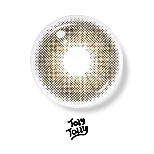 TolyTolly Rome Times Brown