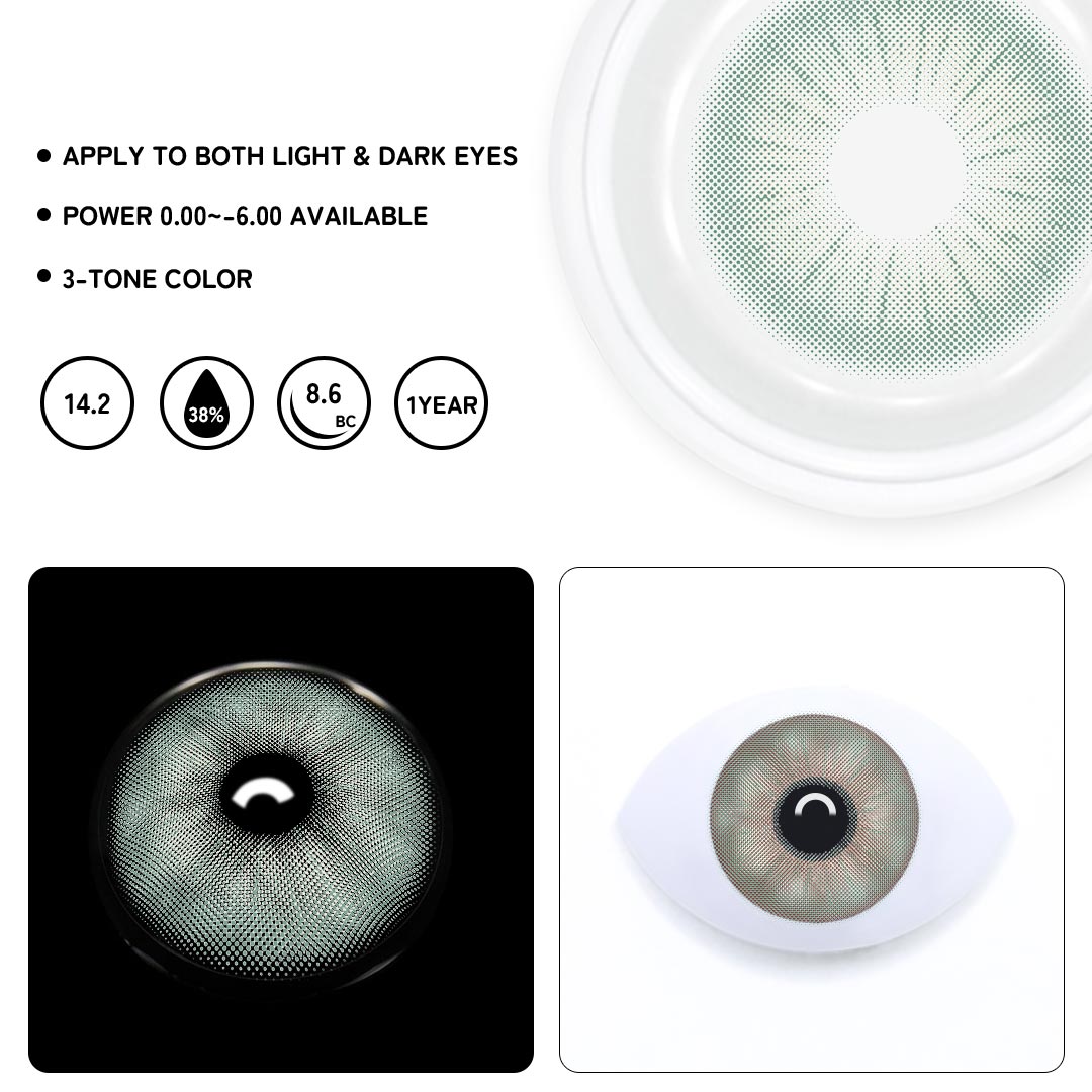 TolyTolly Rome Times Green