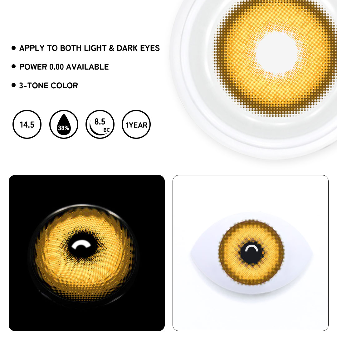 TolyTolly Specter Brown