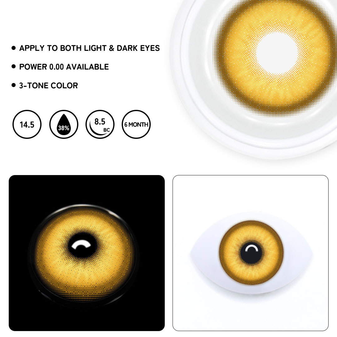 TolyTolly Specter Brown| 6-Month