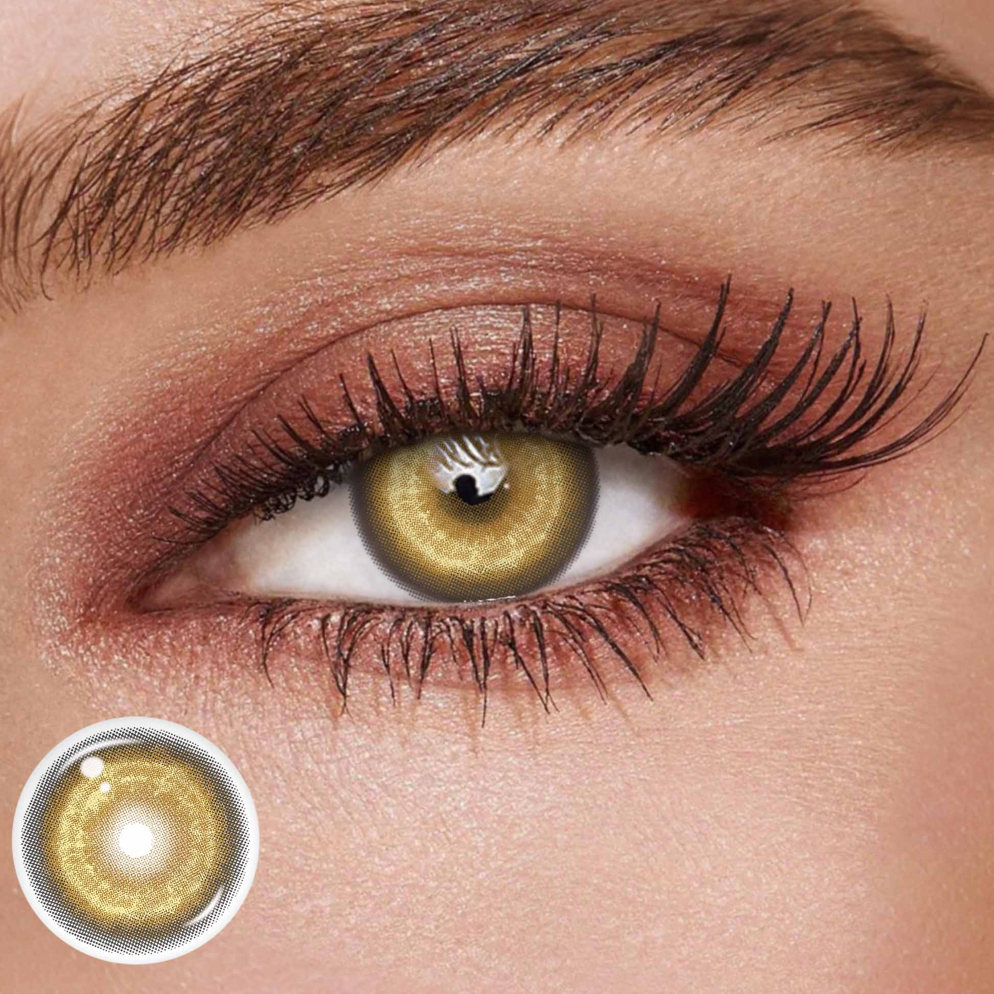 TolyTolly Thyme Yellow | Daily