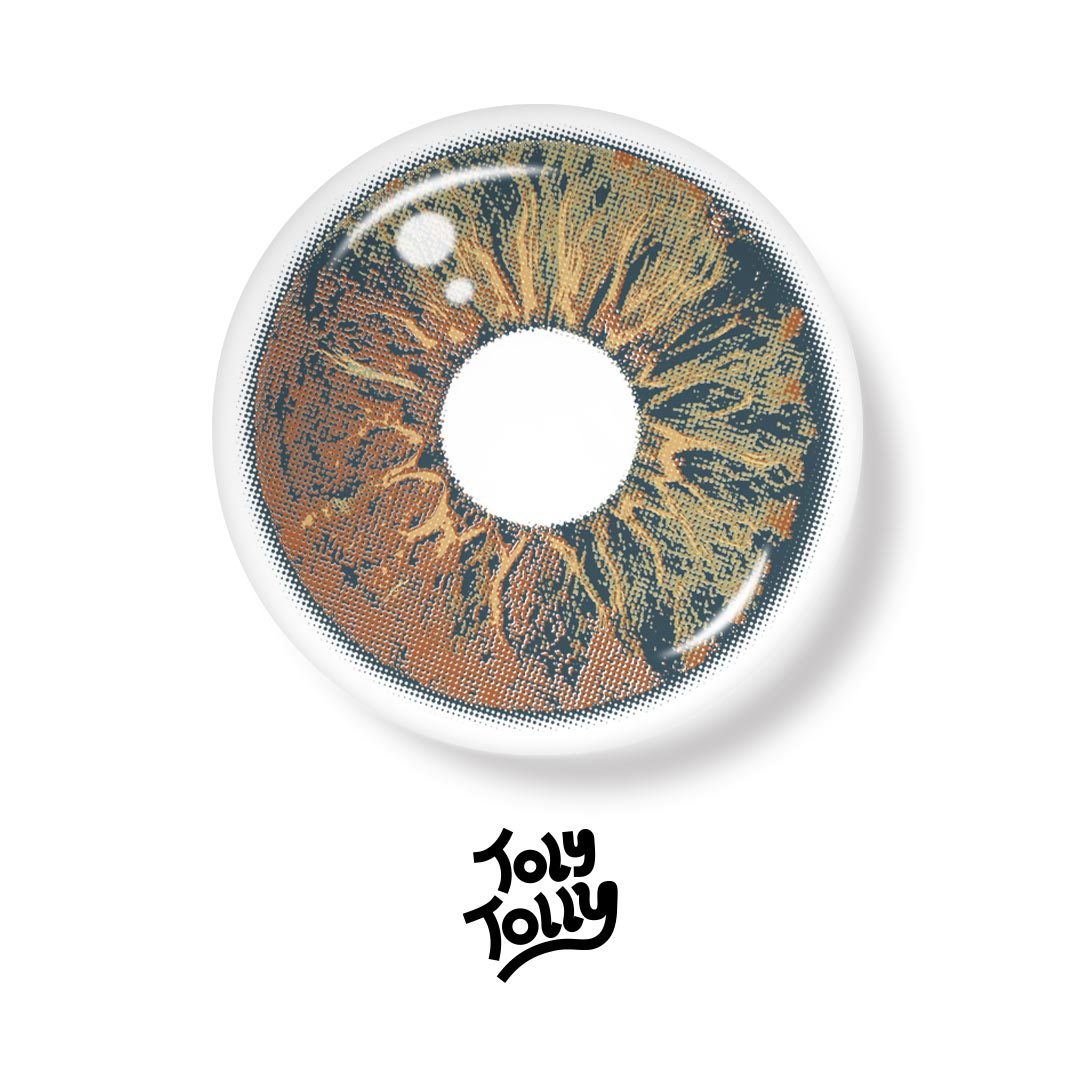 TolyTolly Cosmia Brown