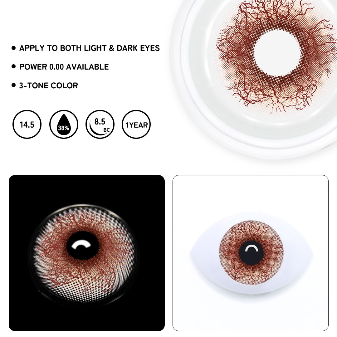 TolyTolly Dazara Brown