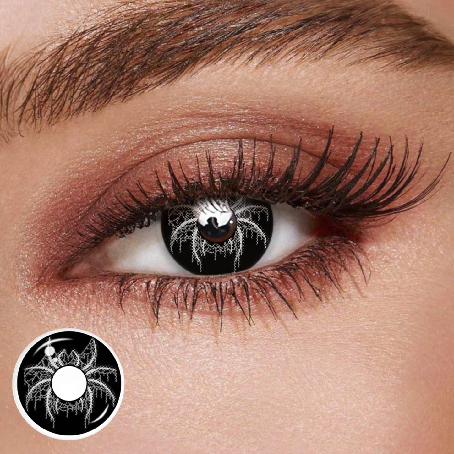 TolyTolly Tusk Black