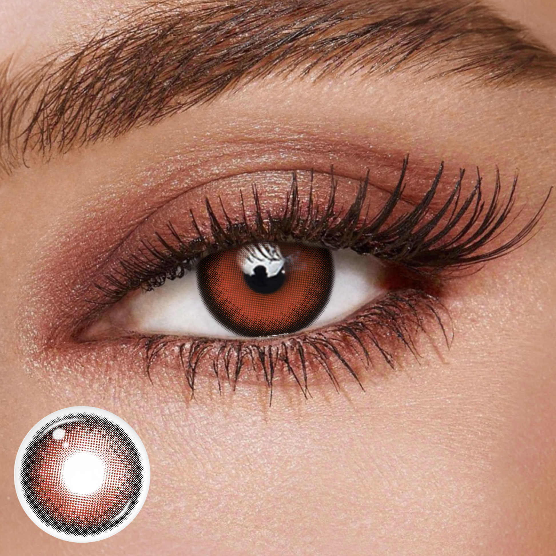 TolyTolly Weeping Red