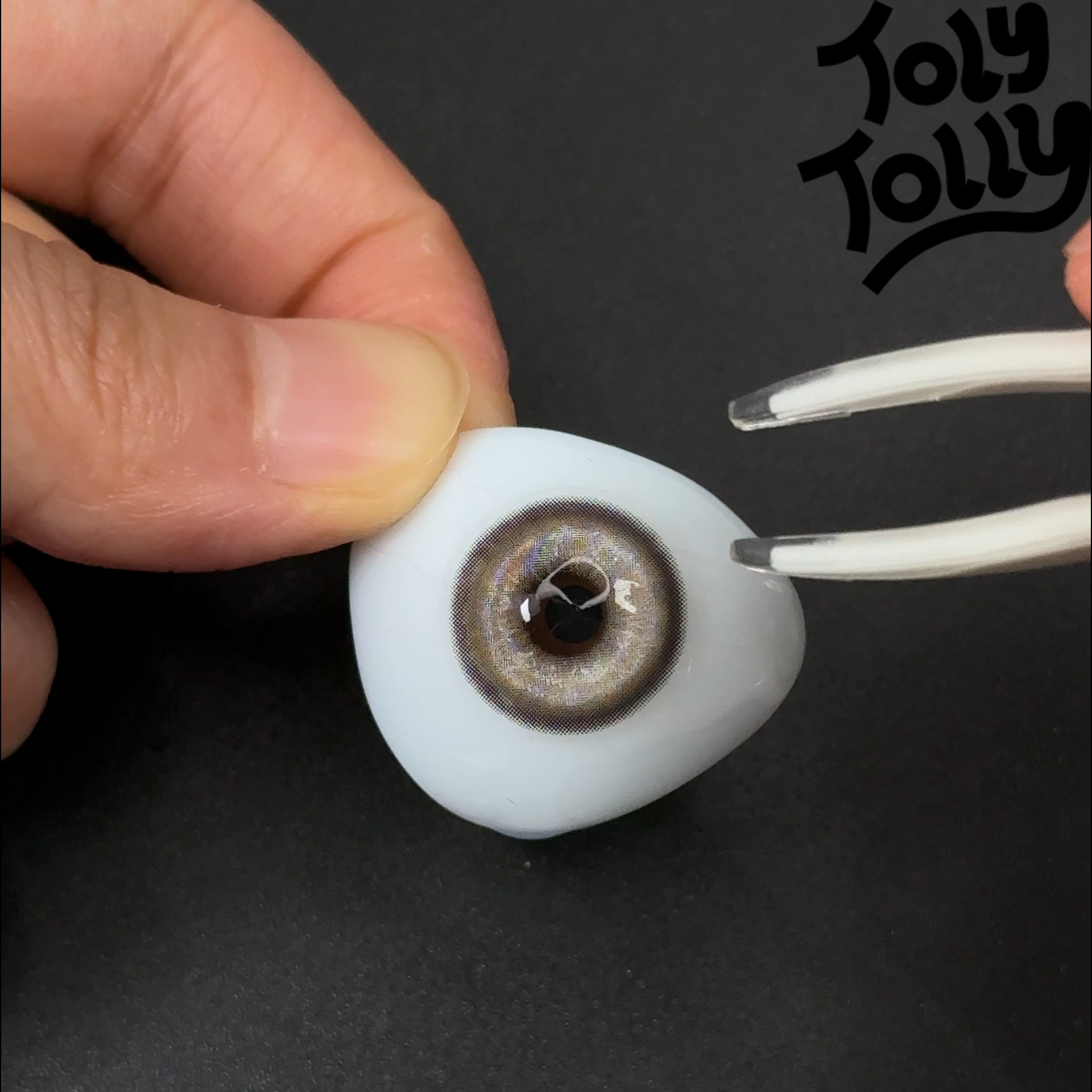 TolyTolly Thyme Chocolate| Monthly