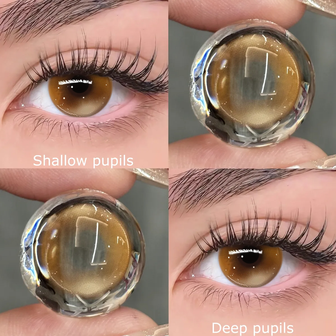 TolyTolly Frosty Brown