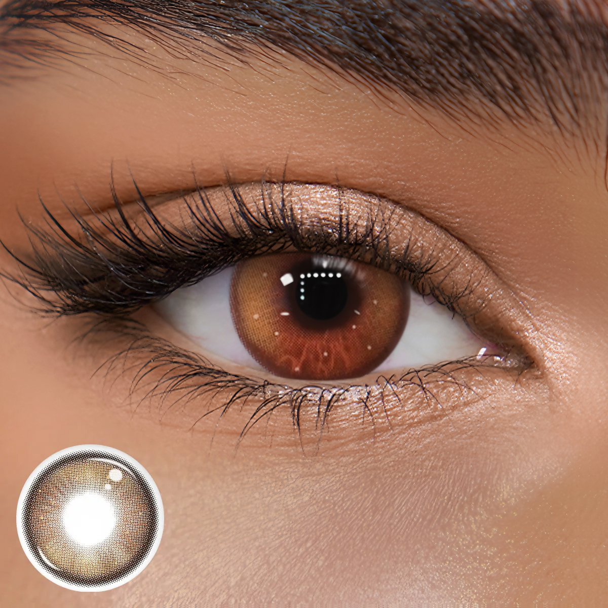 TolyTolly Enigma Brown