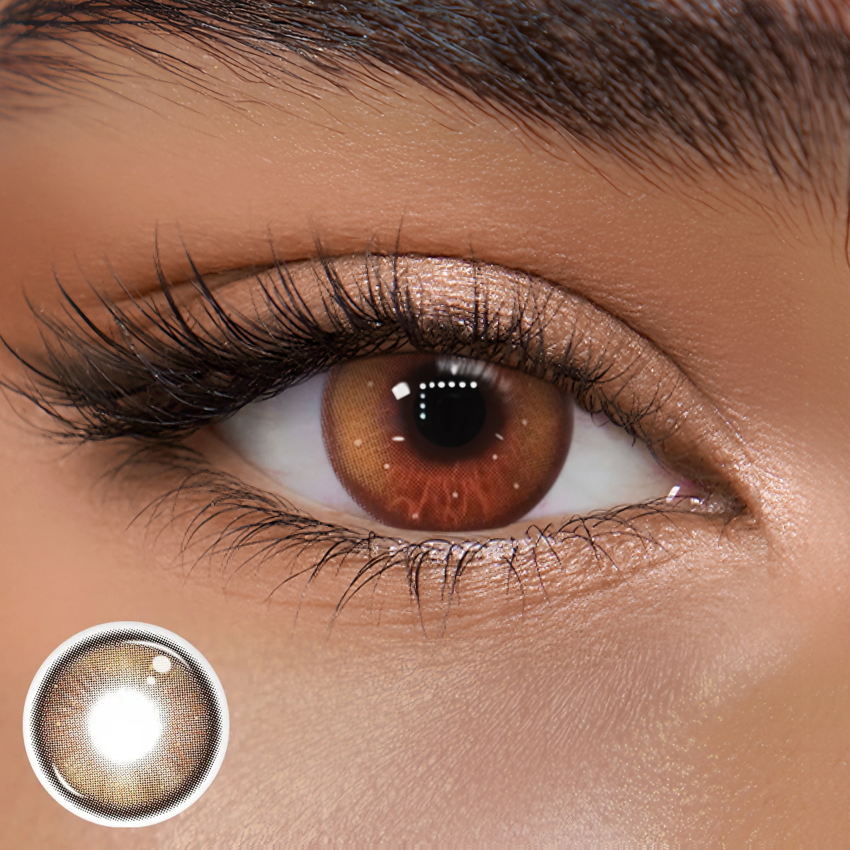 TolyTolly Enigma Brown