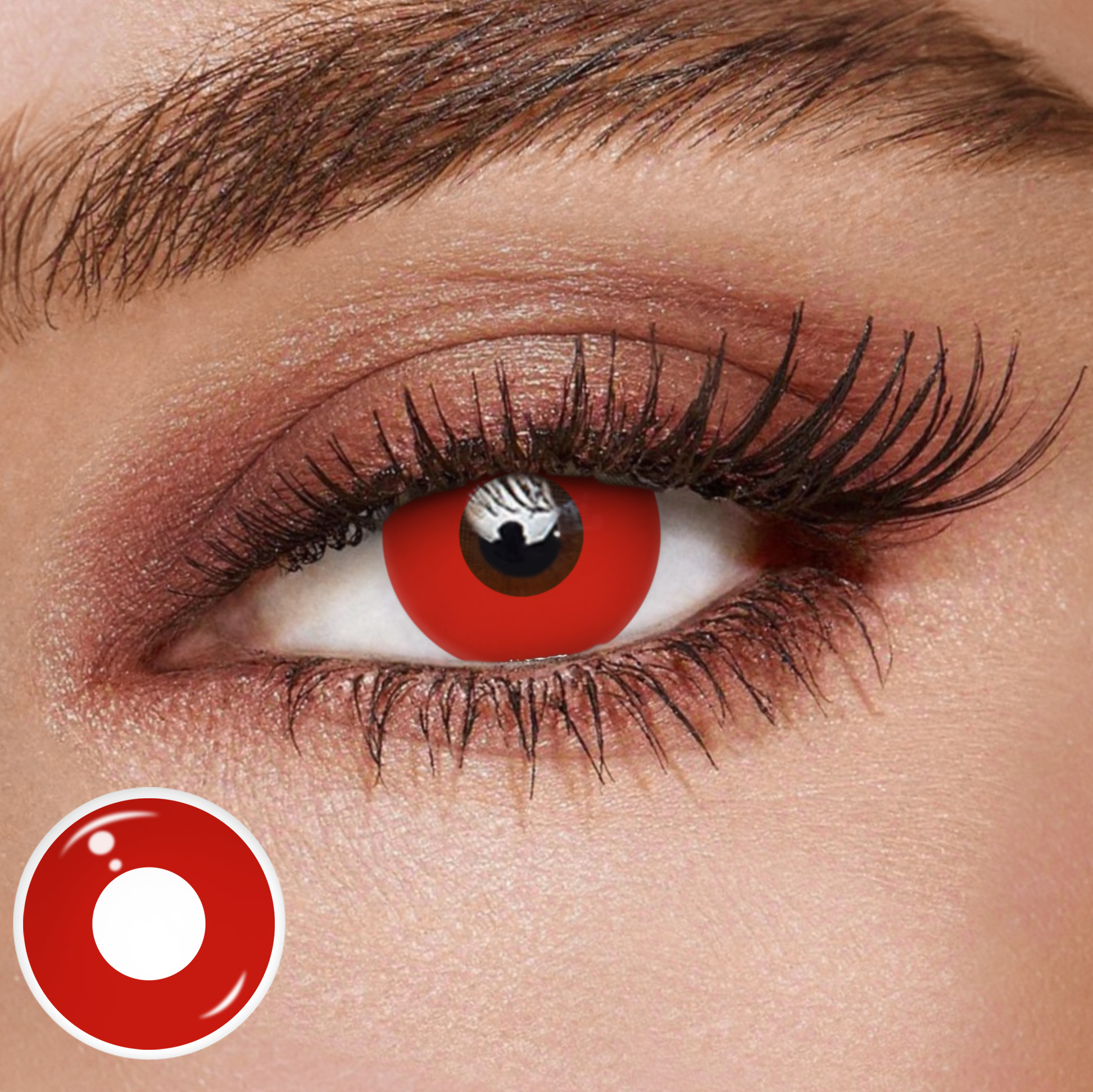 TolyTolly Blank Red | Daily