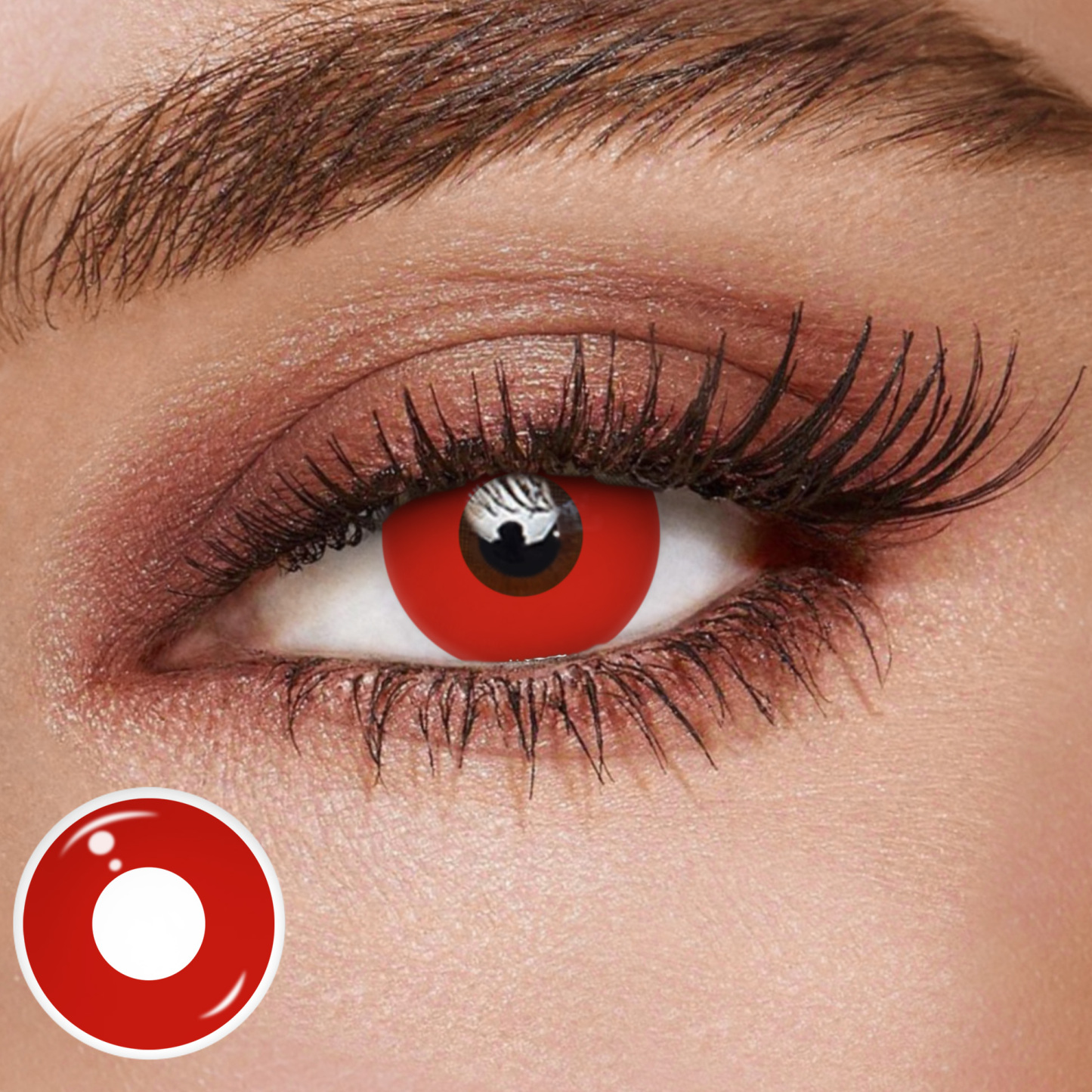 TolyTolly Blank Red | Daily