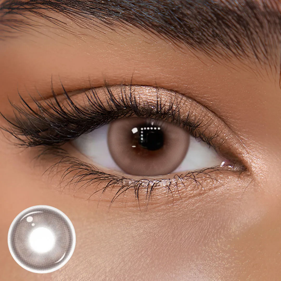 TolyTolly Delis Chocolate