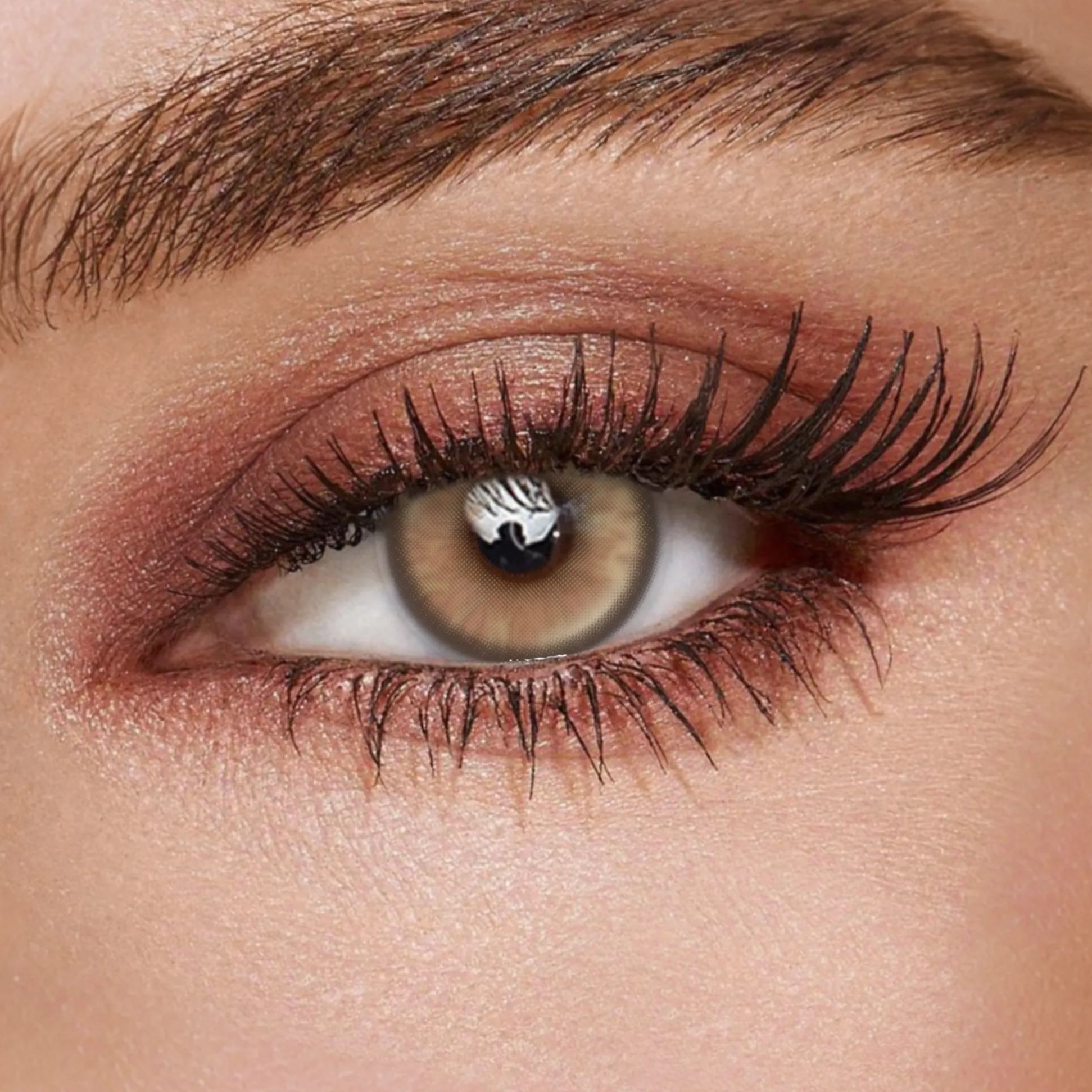 TolyTolly Revia Brown