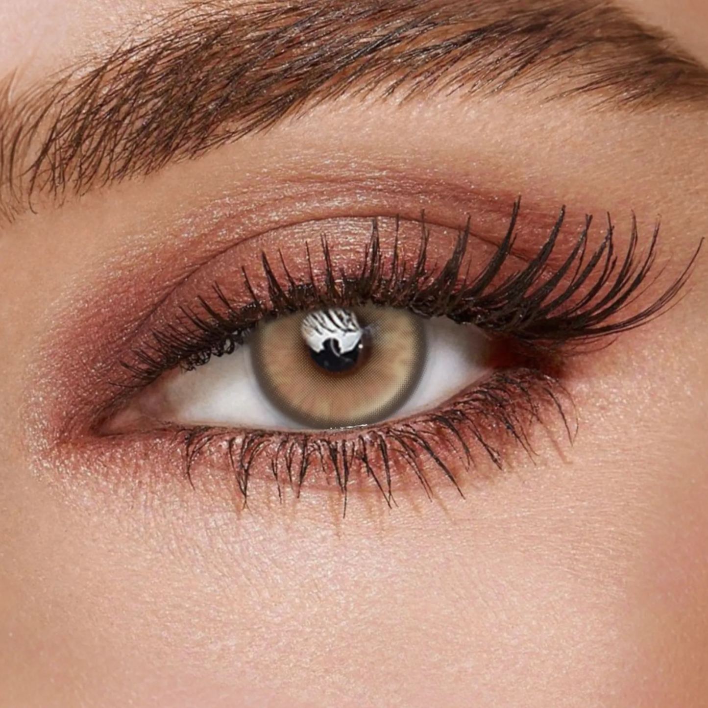 TolyTolly Revia Brown