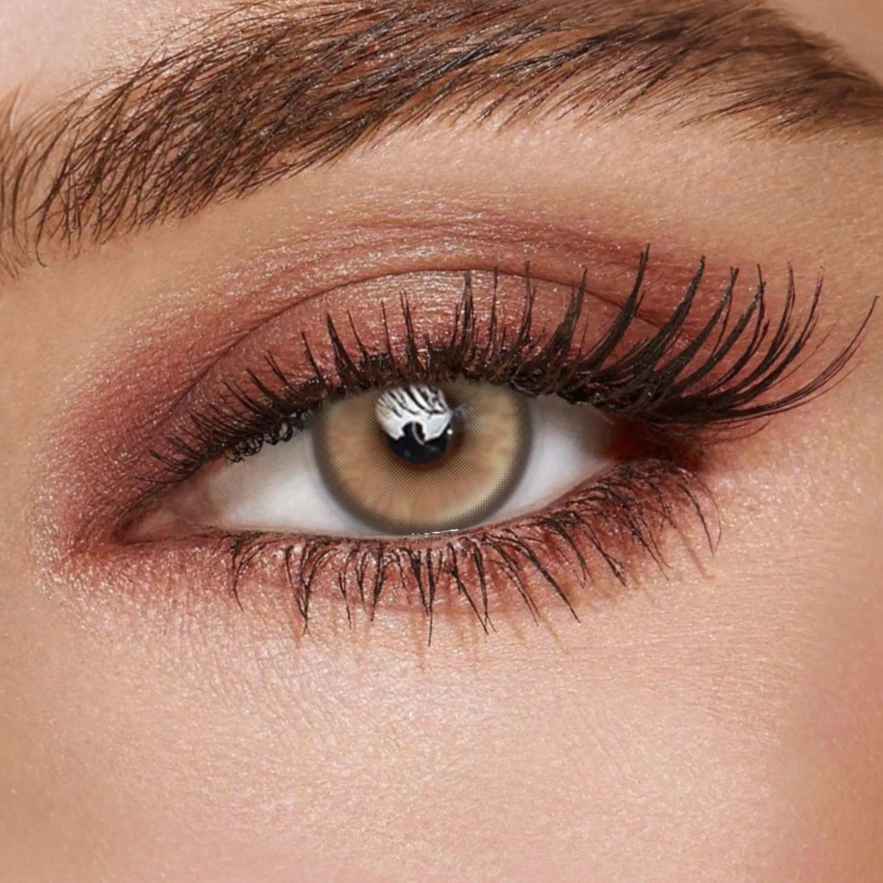 TolyTolly Revia Brown