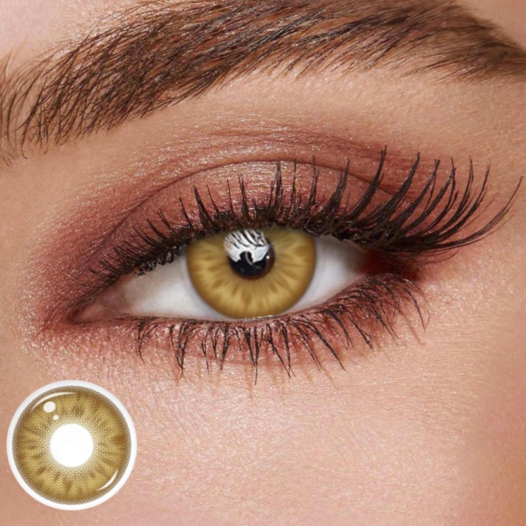 TolyTolly Blossom Brown