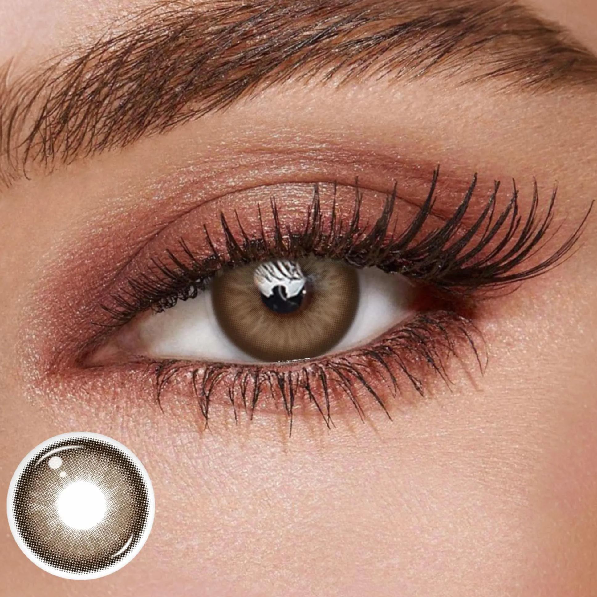 TolyTolly Sorell Brown