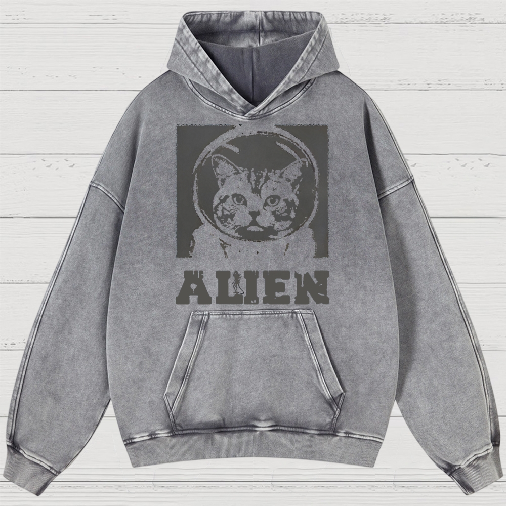 Space Cat Washed Hoodies 