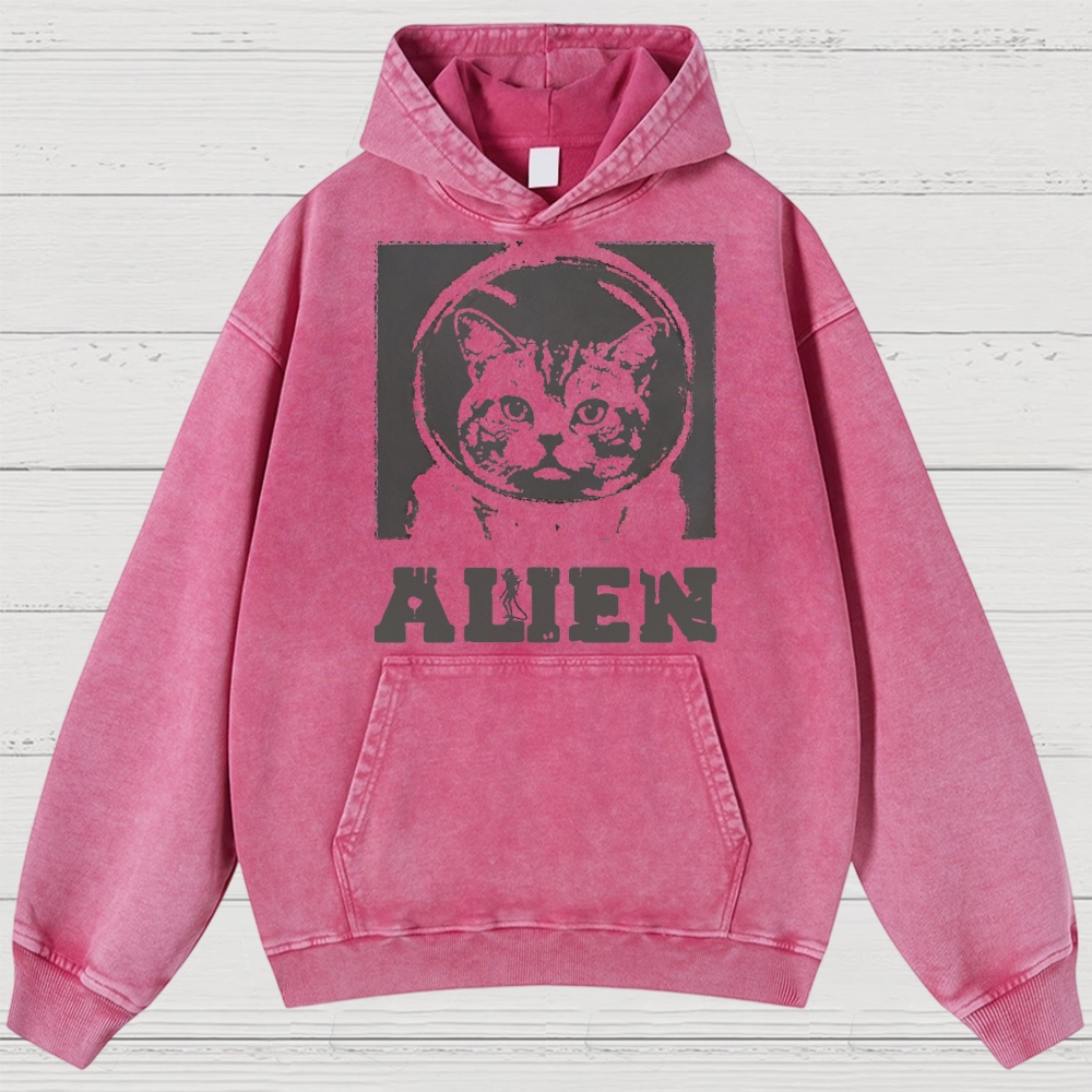 Space Cat Washed Hoodies 