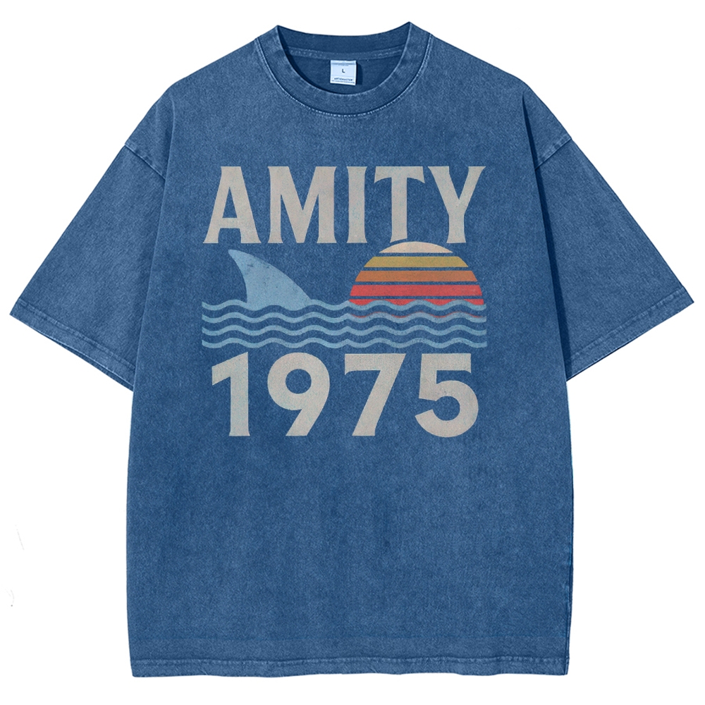 Retro Ocean Sunset 1975 Beach Washed T-Shirt 2511022879