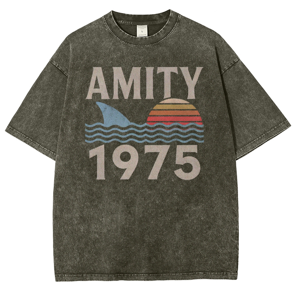 Retro Ocean Sunset 1975 Beach Washed T-Shirt 2511022879