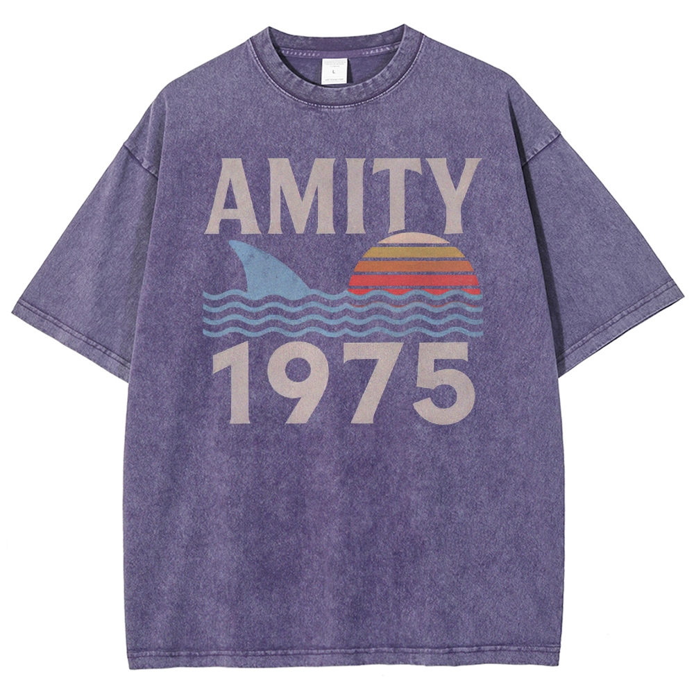 Retro Ocean Sunset 1975 Beach Washed T-Shirt 2511022879